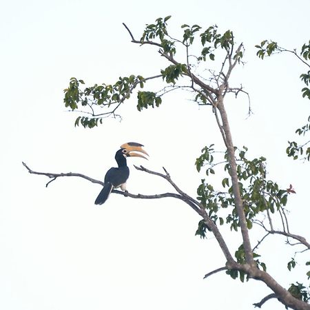 Pelican View Cottages Kataragama Exterior foto