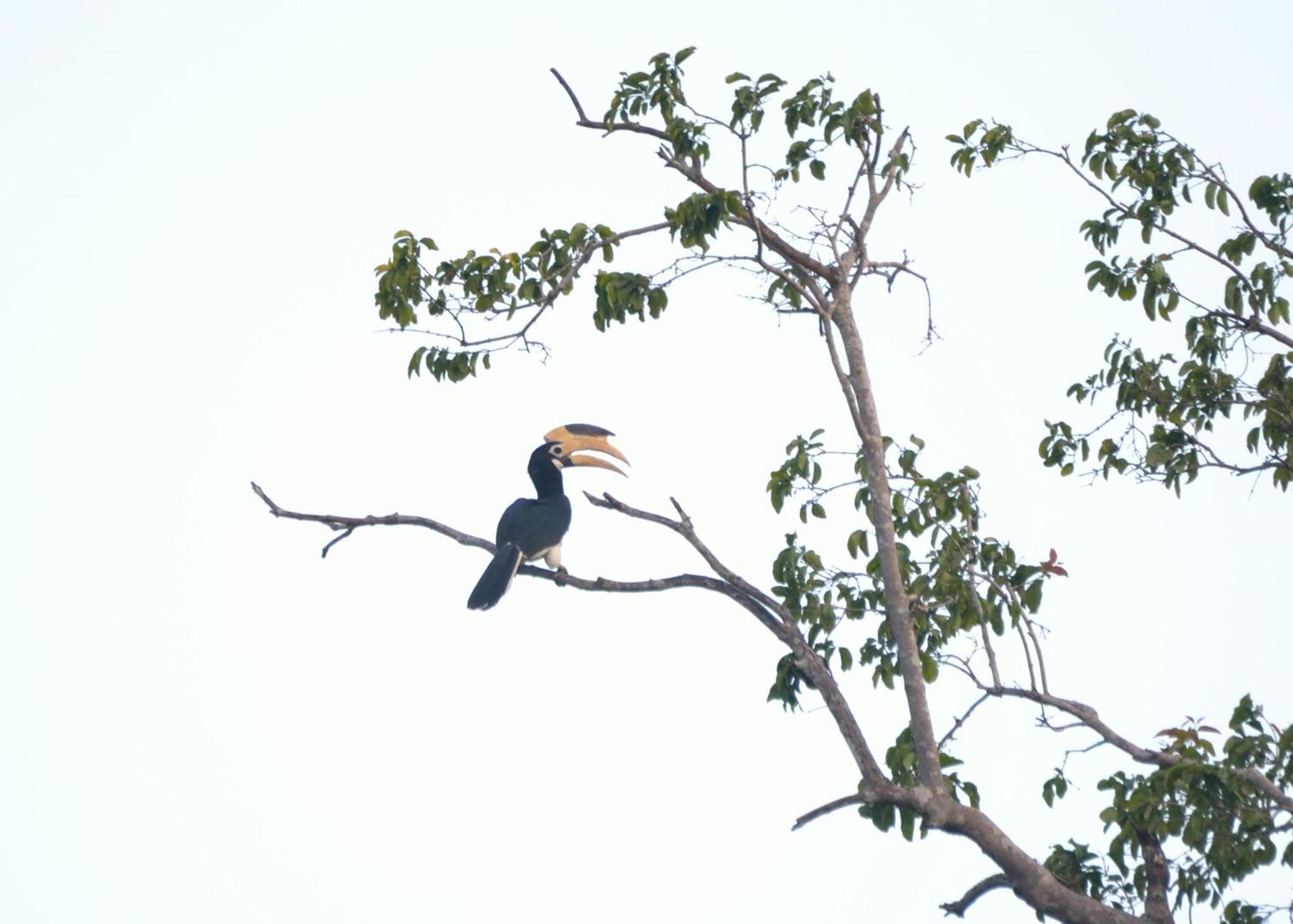 Pelican View Cottages Kataragama Exterior foto