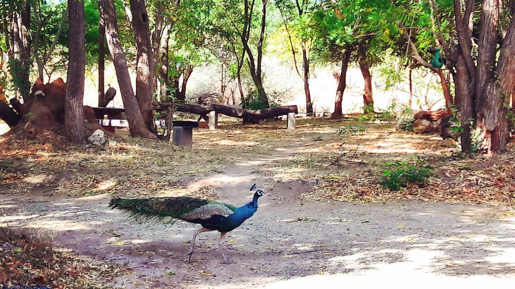 Pelican View Cottages Kataragama Exterior foto